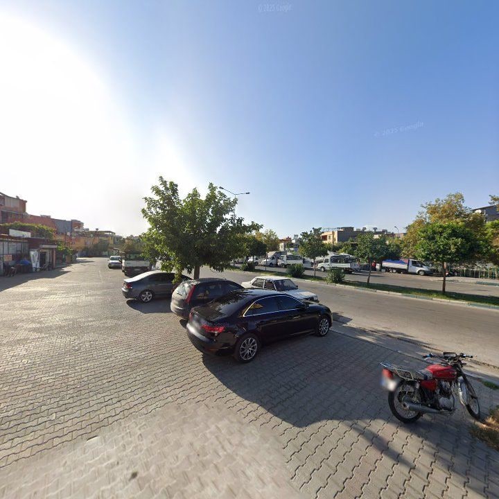 Fotoğraf 7