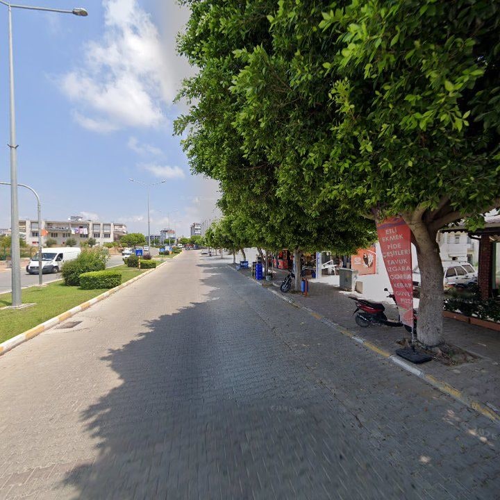 Fotoğraf 9