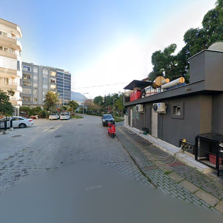 Fotoğraf 12