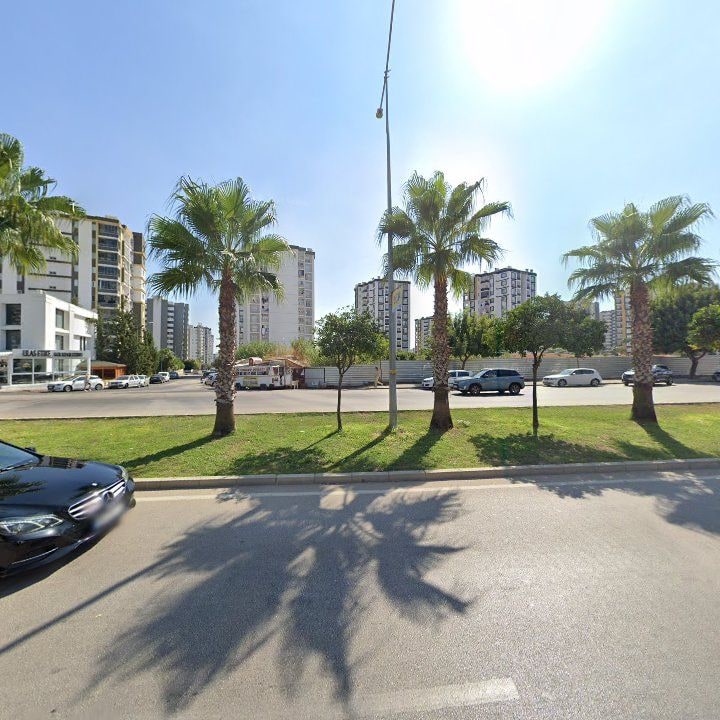 Fotoğraf 10