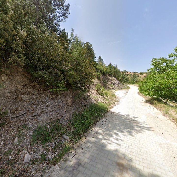 Fotoğraf 8