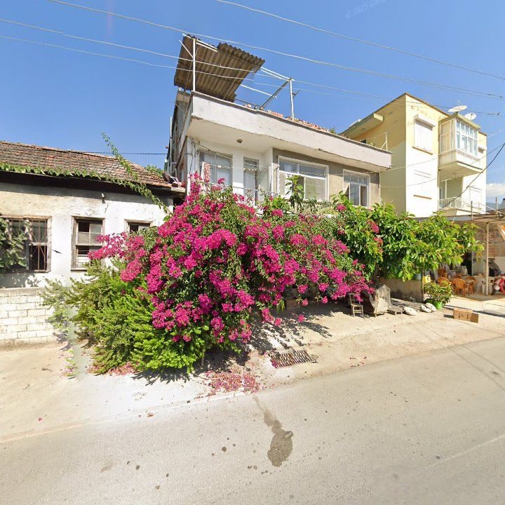 Fotoğraf 3