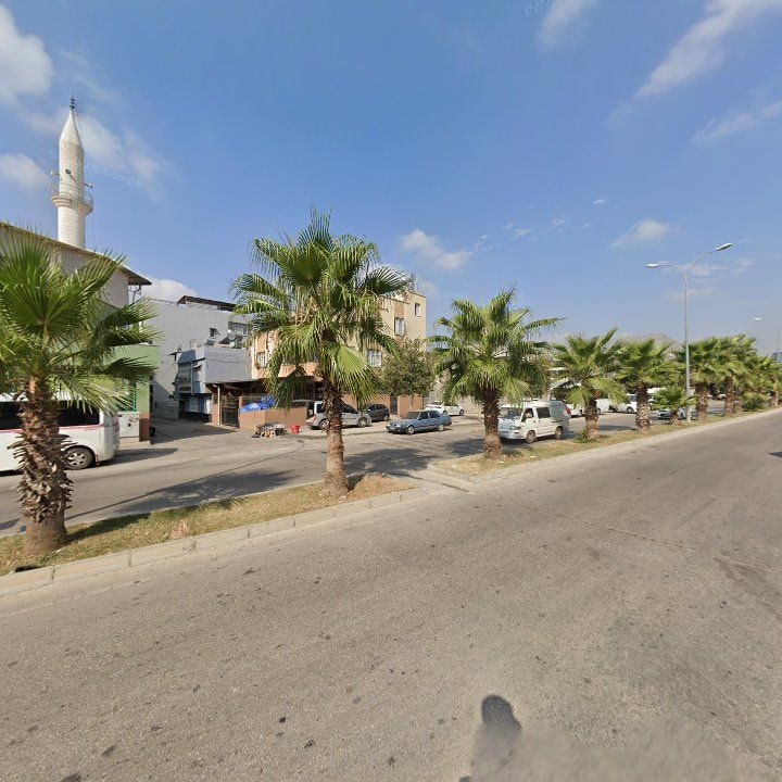 Fotoğraf 4