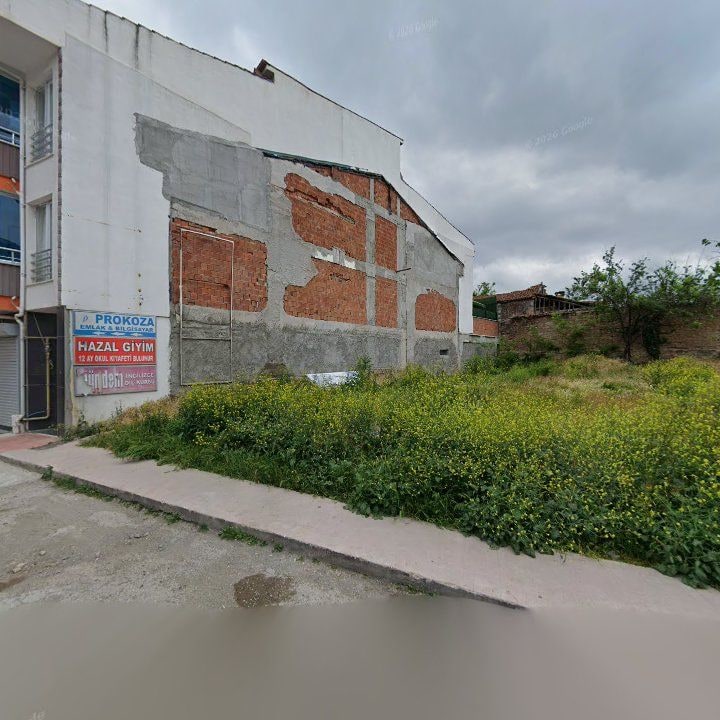 Fotoğraf 3