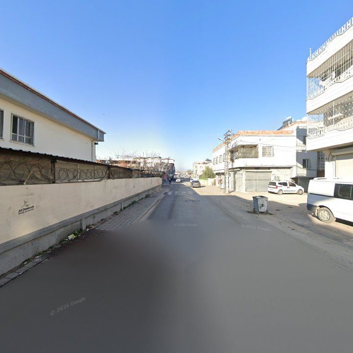 Fotoğraf 9