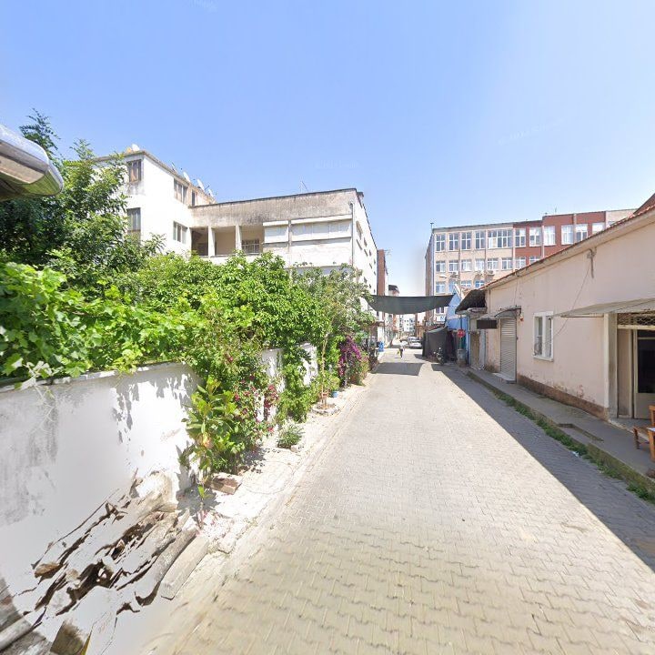 Fotoğraf 8