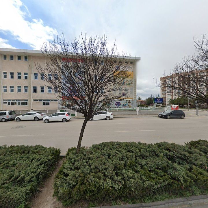 Fotoğraf 9