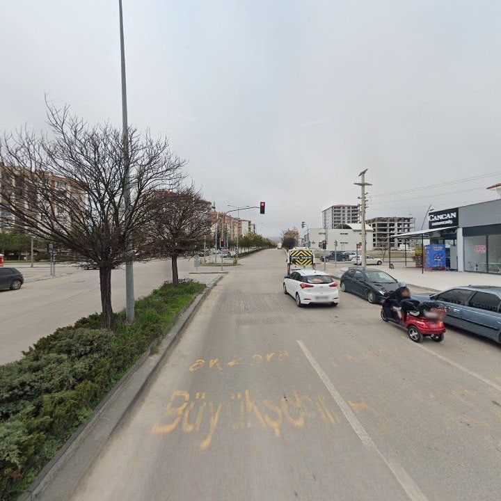 Fotoğraf 10
