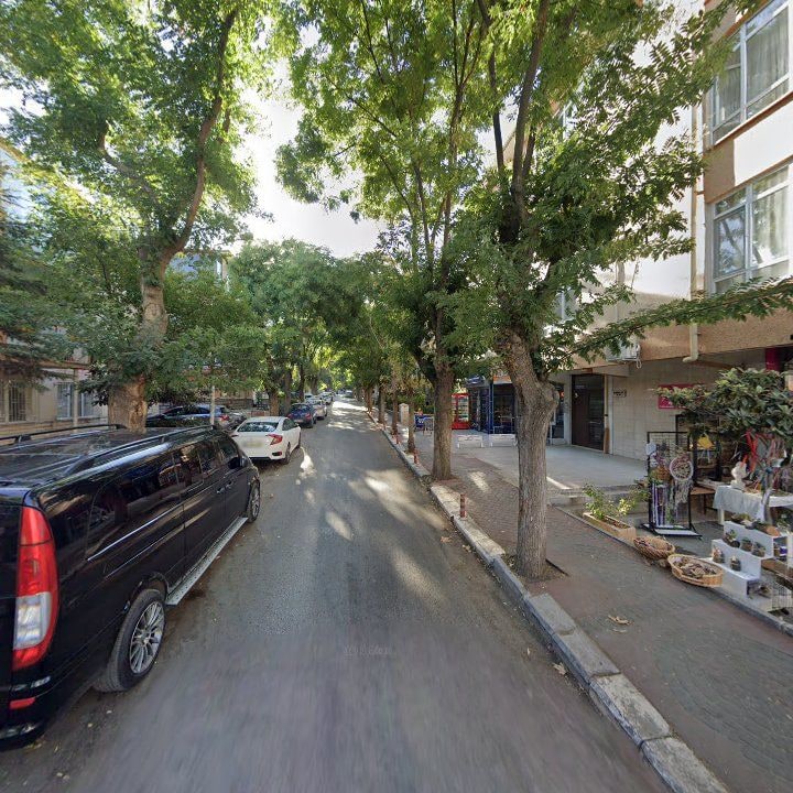 Fotoğraf 7