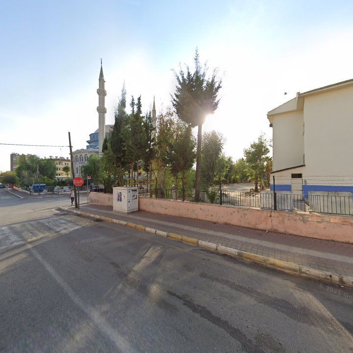 Fotoğraf 8