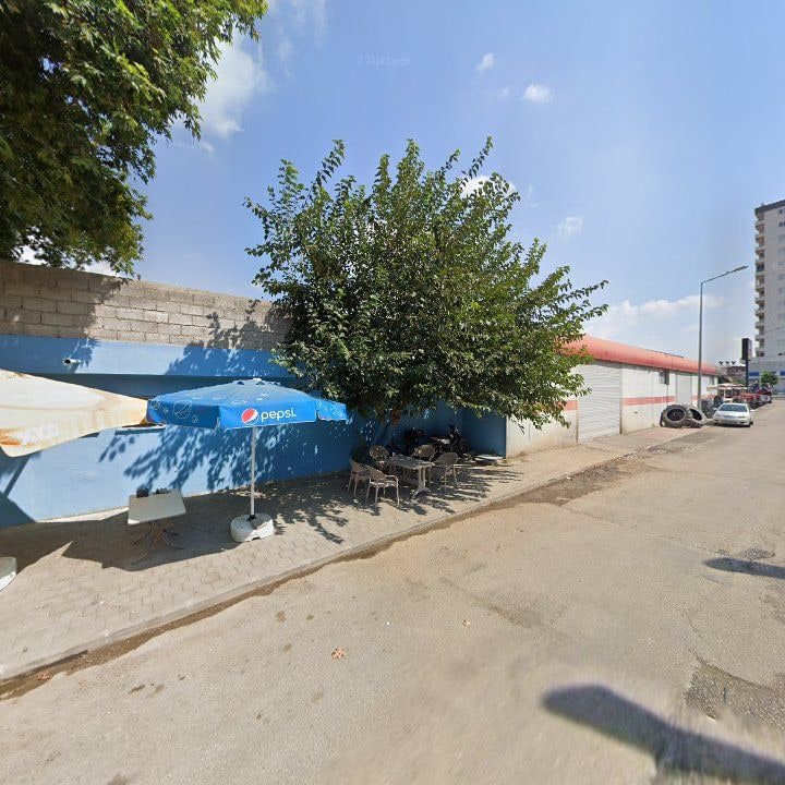 Fotoğraf 8