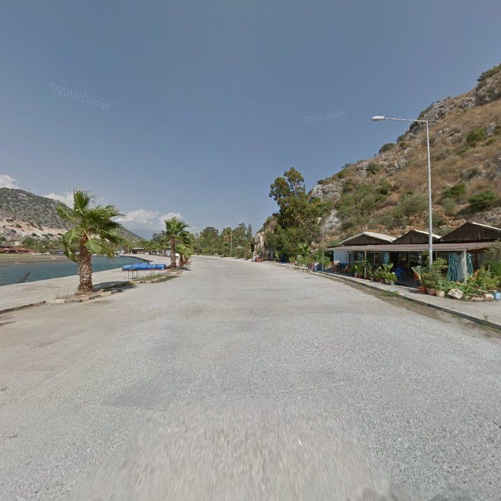 Fotoğraf 8