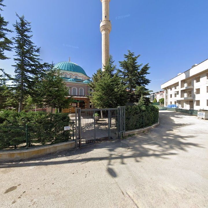 Fotoğraf 7