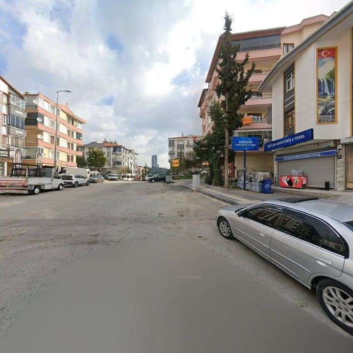 Fotoğraf 9