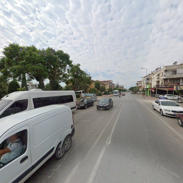 Fotoğraf 8