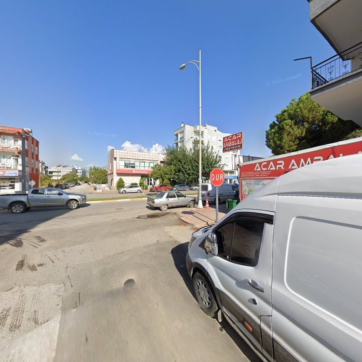 Fotoğraf 8