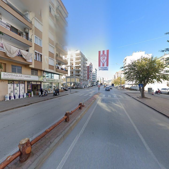 Fotoğraf 10