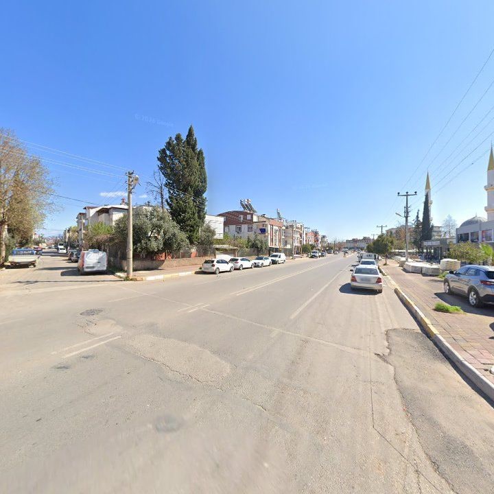 Fotoğraf 9