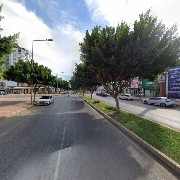 Fotoğraf 7