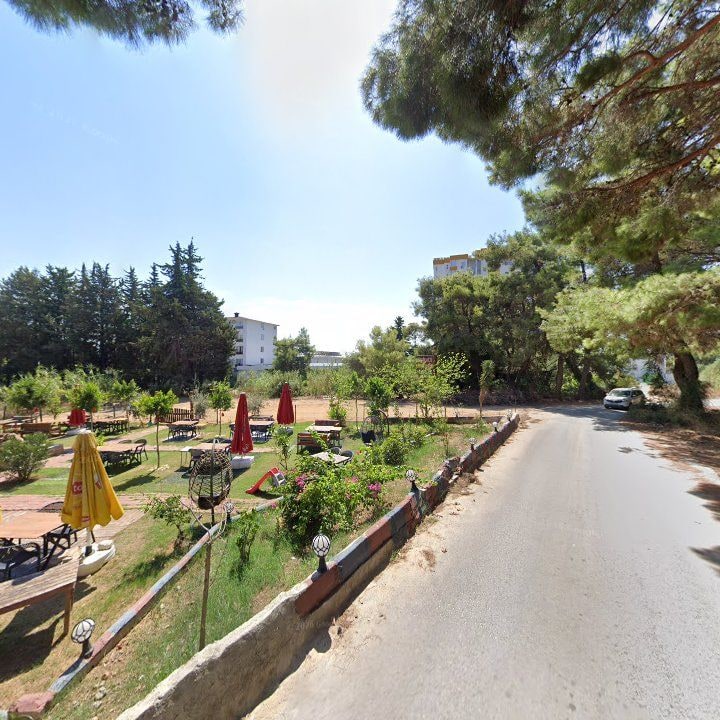 Fotoğraf 7