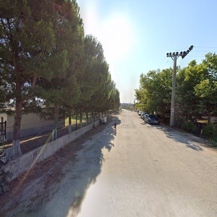 Fotoğraf 10