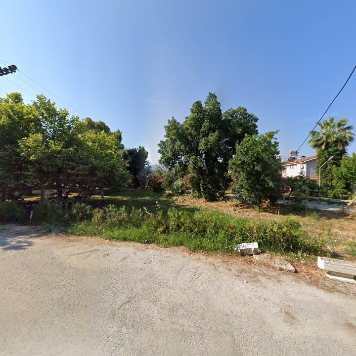 Fotoğraf 7