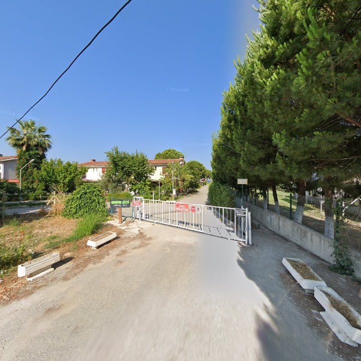 Fotoğraf 8