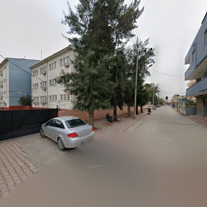 Fotoğraf 9