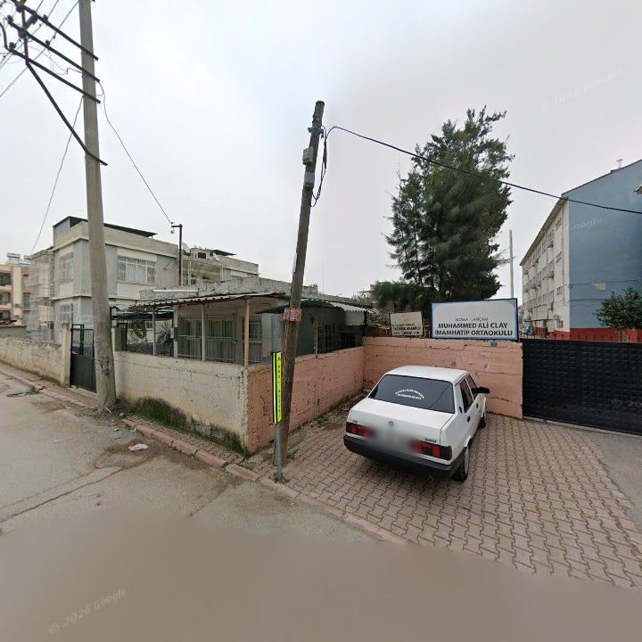 Fotoğraf 8