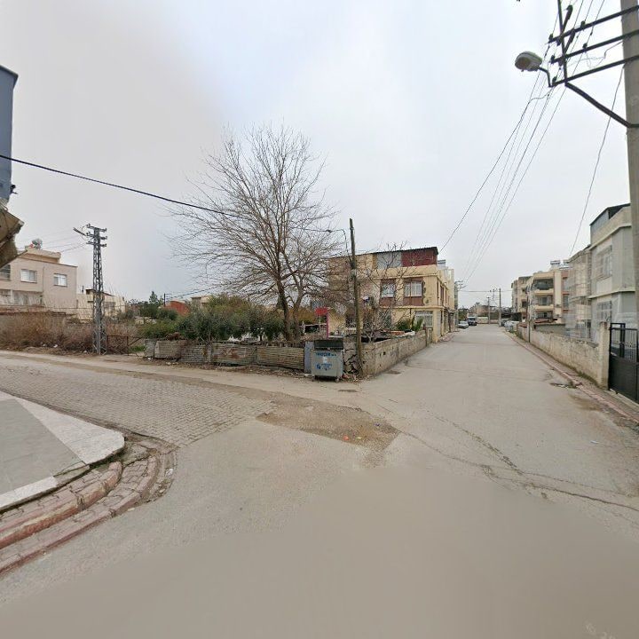 Fotoğraf 7