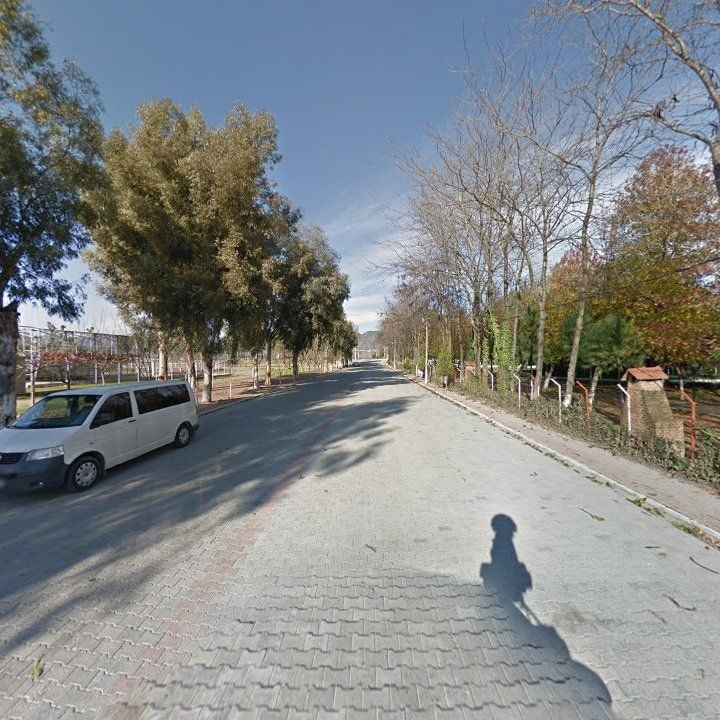 Fotoğraf 6