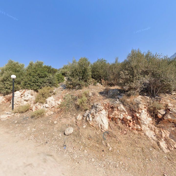 Fotoğraf 13