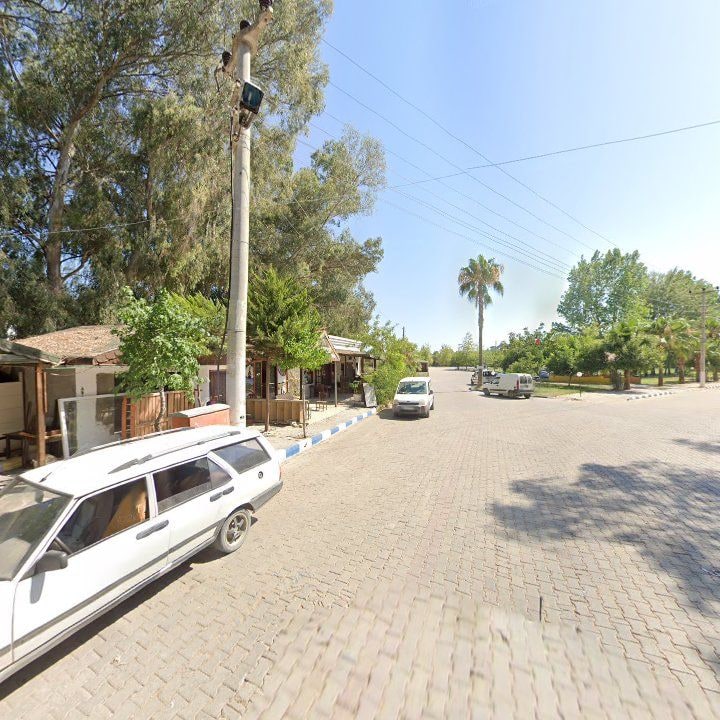 Fotoğraf 10