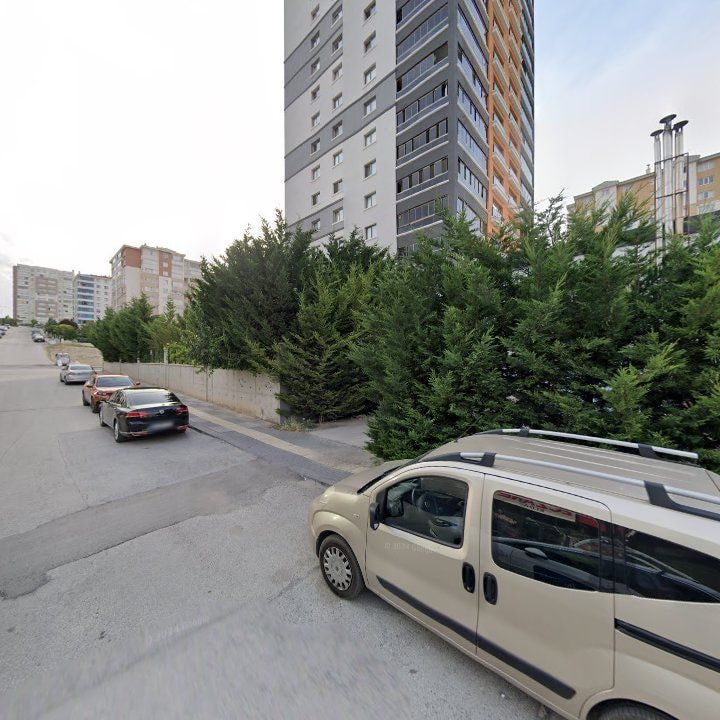 Fotoğraf 12