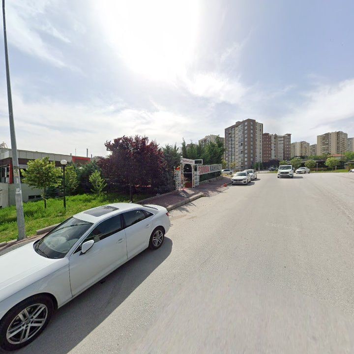Fotoğraf 7