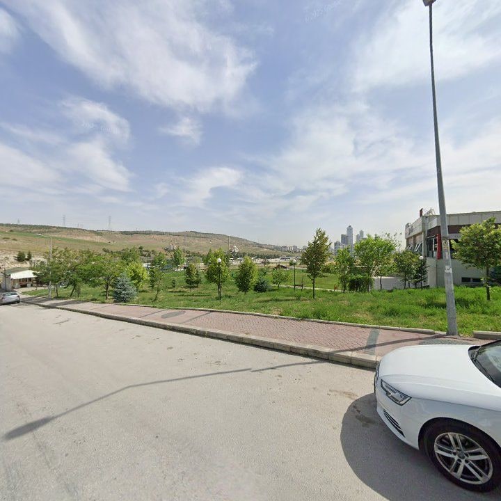 Fotoğraf 6