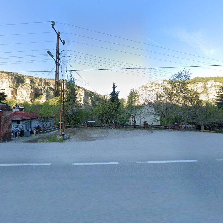 Fotoğraf 9