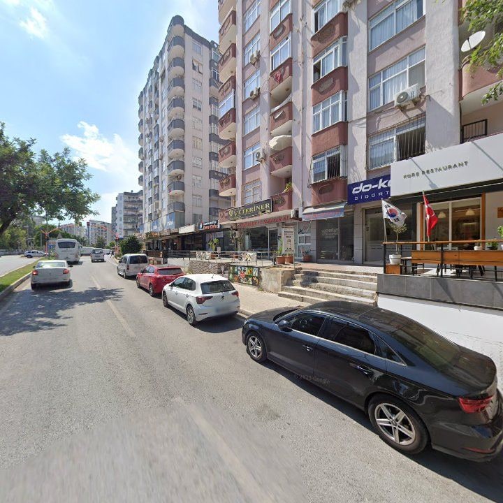 Fotoğraf 13