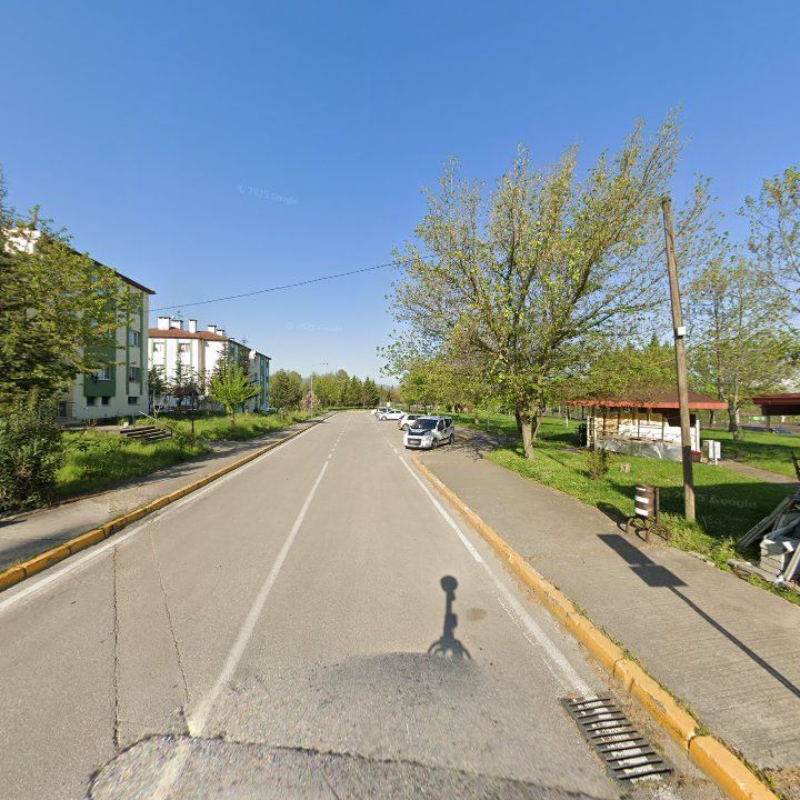 Fotoğraf 6