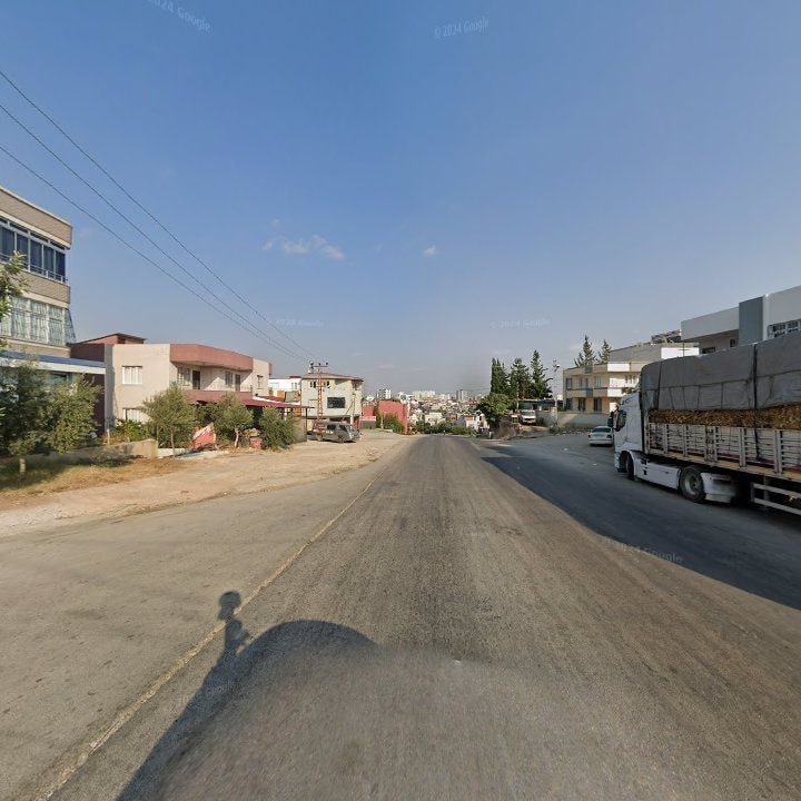 Fotoğraf 5