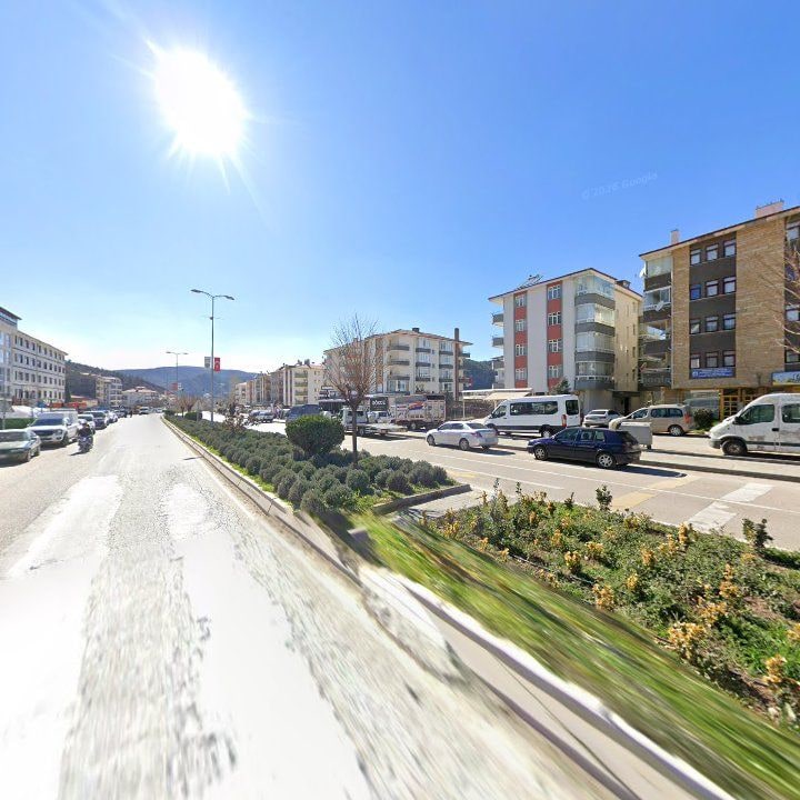 Fotoğraf 8