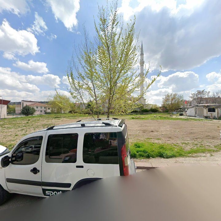 Fotoğraf 7