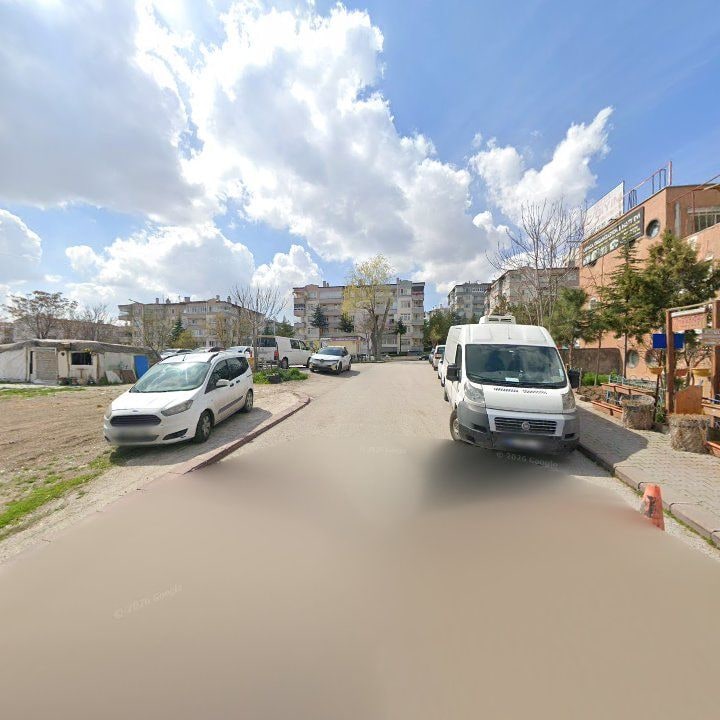 Fotoğraf 8