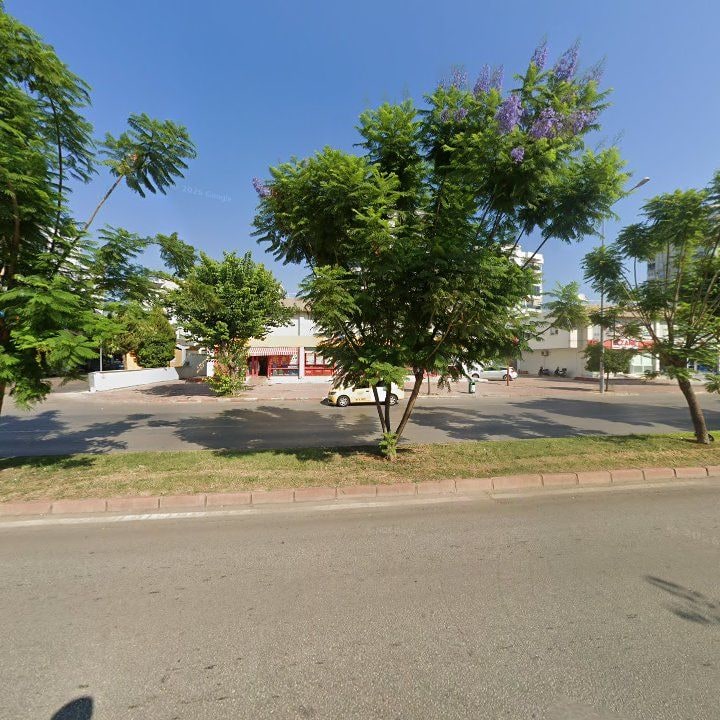 Fotoğraf 10