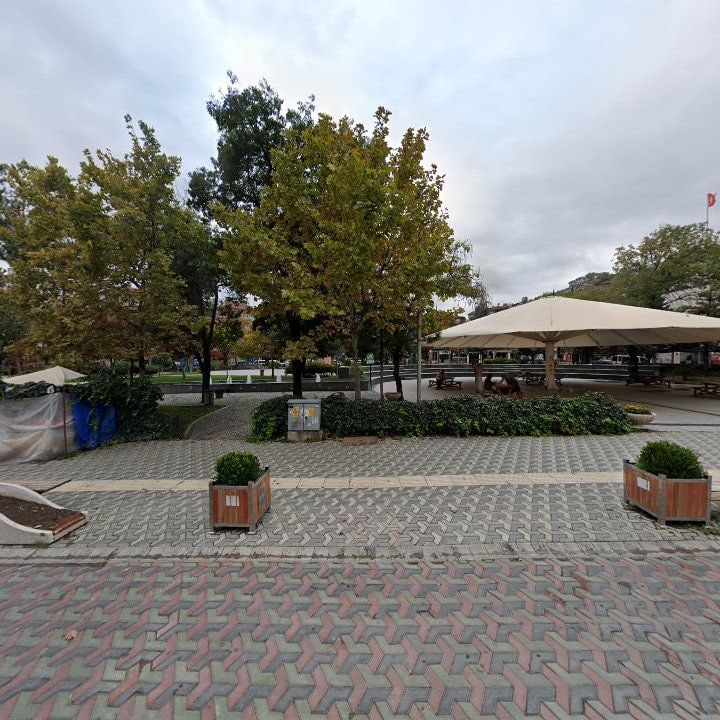 Fotoğraf 8