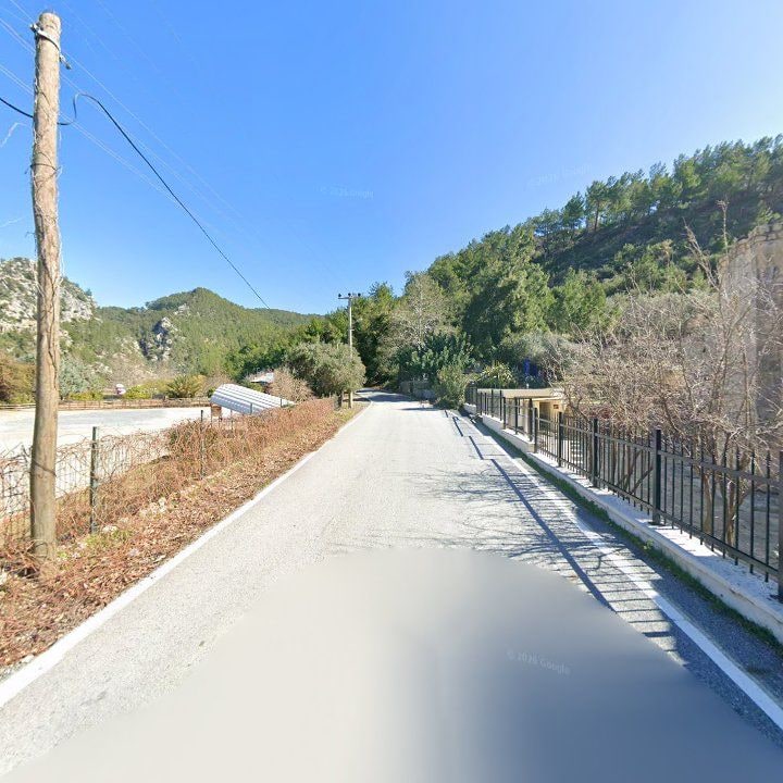 Fotoğraf 10