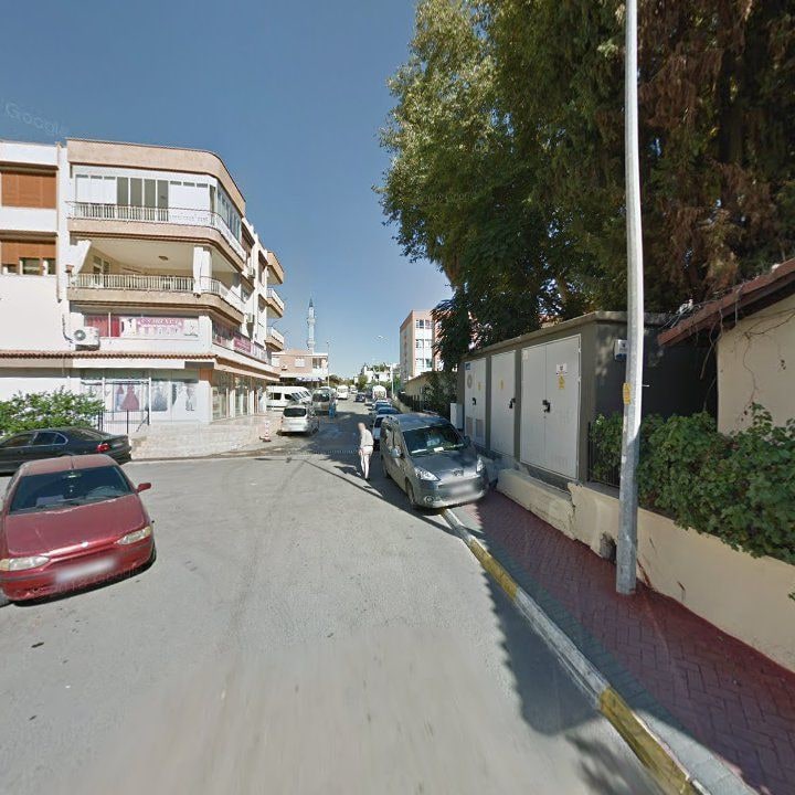 Fotoğraf 8
