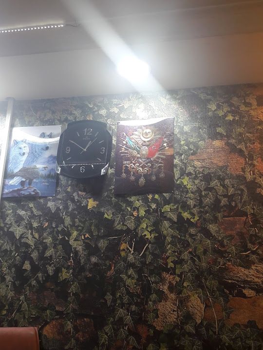 İrem Döner