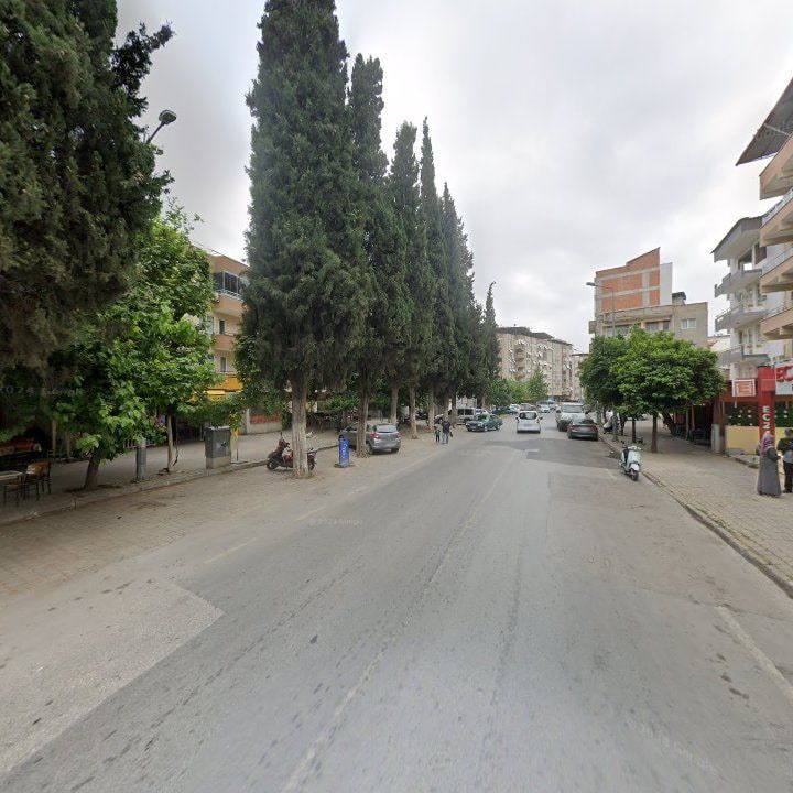 Fotoğraf 8