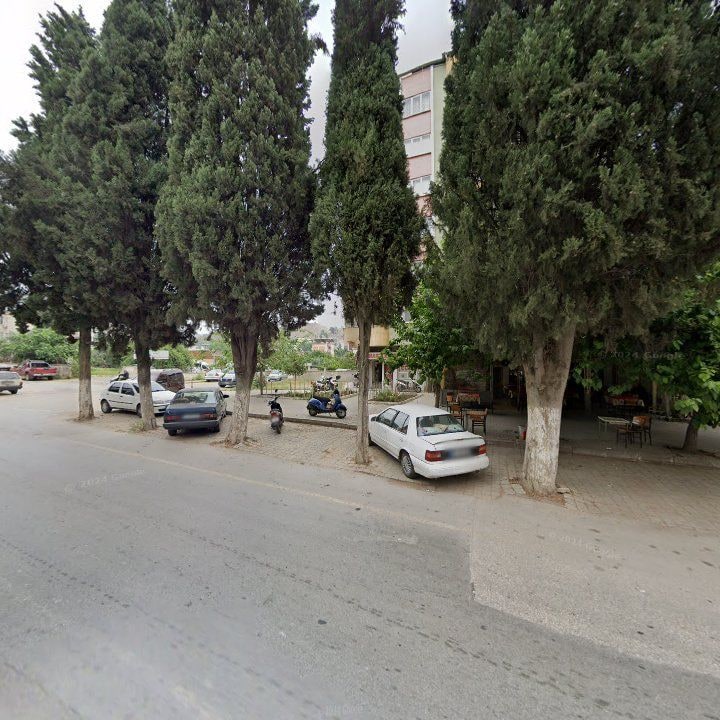 Fotoğraf 7